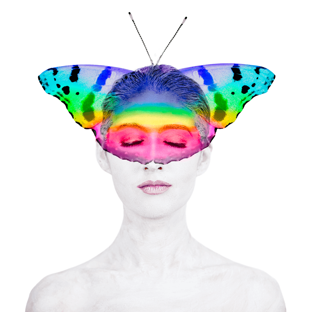 Laura Hollick Paper Crane Tree